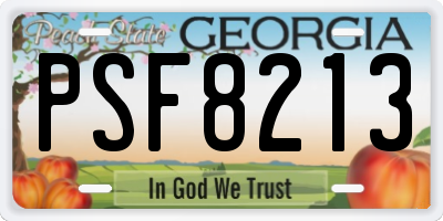 GA license plate PSF8213