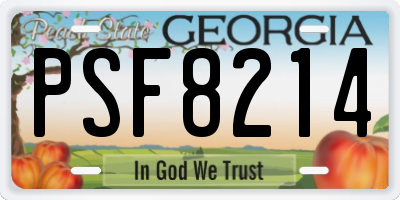 GA license plate PSF8214