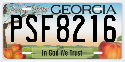 GA license plate PSF8216