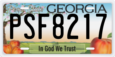 GA license plate PSF8217