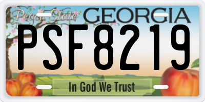 GA license plate PSF8219