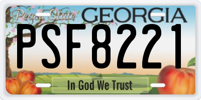 GA license plate PSF8221
