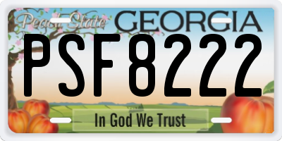 GA license plate PSF8222