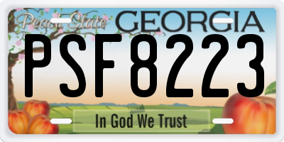 GA license plate PSF8223