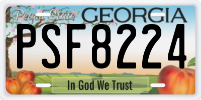 GA license plate PSF8224