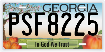 GA license plate PSF8225