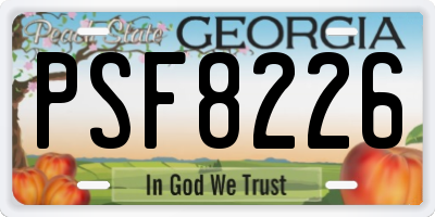GA license plate PSF8226