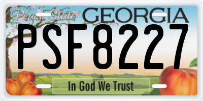 GA license plate PSF8227