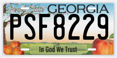 GA license plate PSF8229