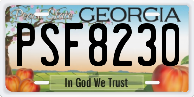 GA license plate PSF8230