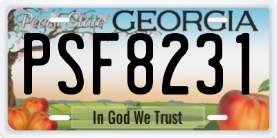 GA license plate PSF8231
