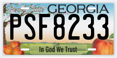 GA license plate PSF8233