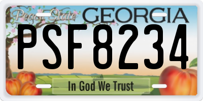 GA license plate PSF8234