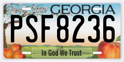 GA license plate PSF8236