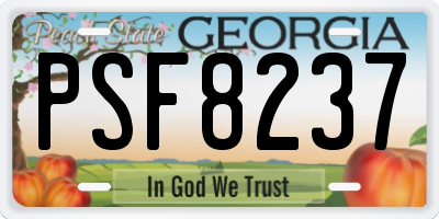 GA license plate PSF8237