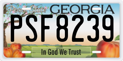 GA license plate PSF8239