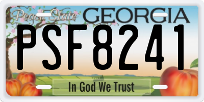 GA license plate PSF8241