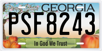 GA license plate PSF8243