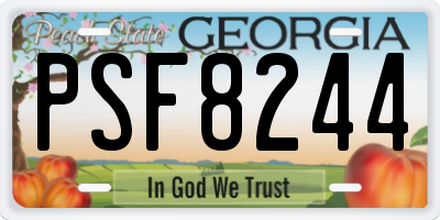 GA license plate PSF8244