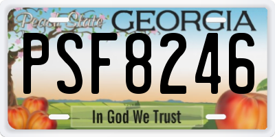 GA license plate PSF8246