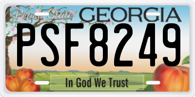 GA license plate PSF8249