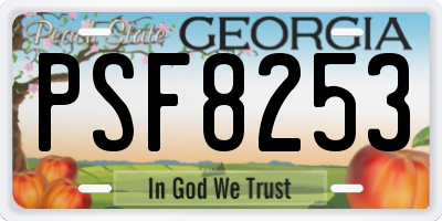 GA license plate PSF8253