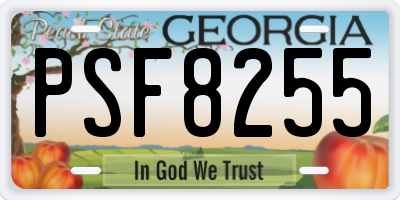 GA license plate PSF8255