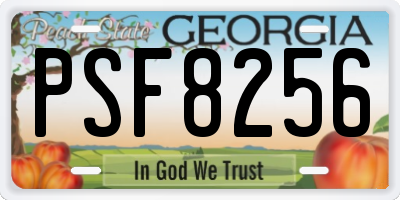 GA license plate PSF8256