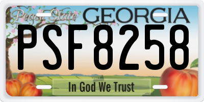 GA license plate PSF8258