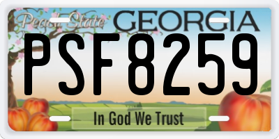 GA license plate PSF8259