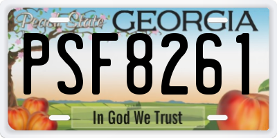 GA license plate PSF8261