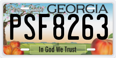 GA license plate PSF8263