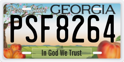 GA license plate PSF8264
