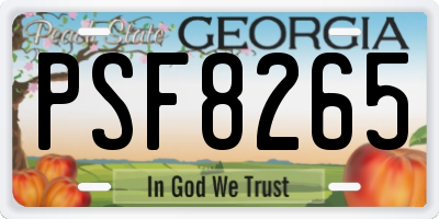 GA license plate PSF8265