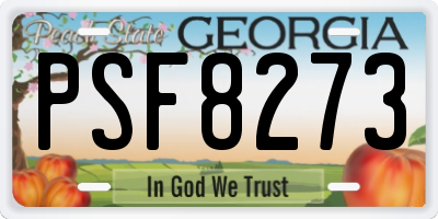 GA license plate PSF8273