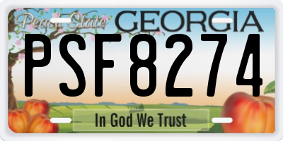 GA license plate PSF8274