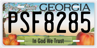 GA license plate PSF8285