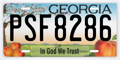 GA license plate PSF8286