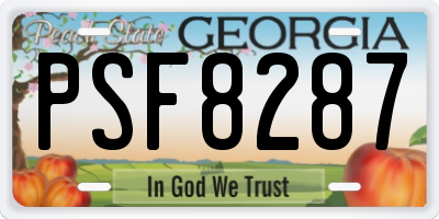 GA license plate PSF8287