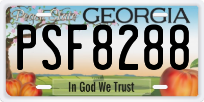GA license plate PSF8288