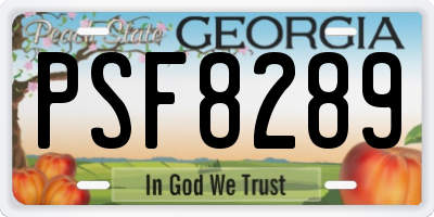 GA license plate PSF8289