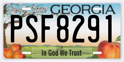 GA license plate PSF8291