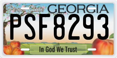GA license plate PSF8293