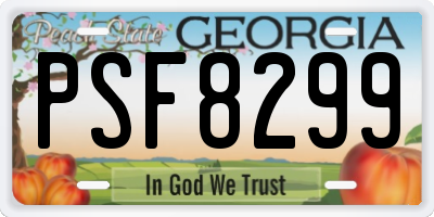 GA license plate PSF8299