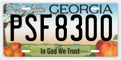 GA license plate PSF8300