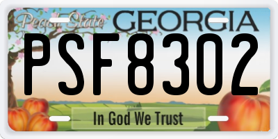 GA license plate PSF8302