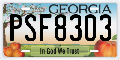 GA license plate PSF8303