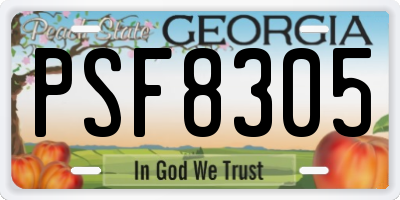 GA license plate PSF8305
