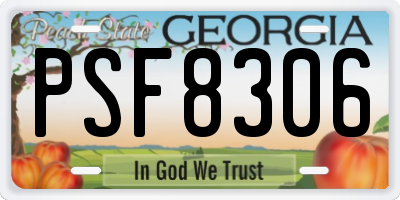 GA license plate PSF8306