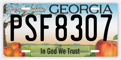 GA license plate PSF8307